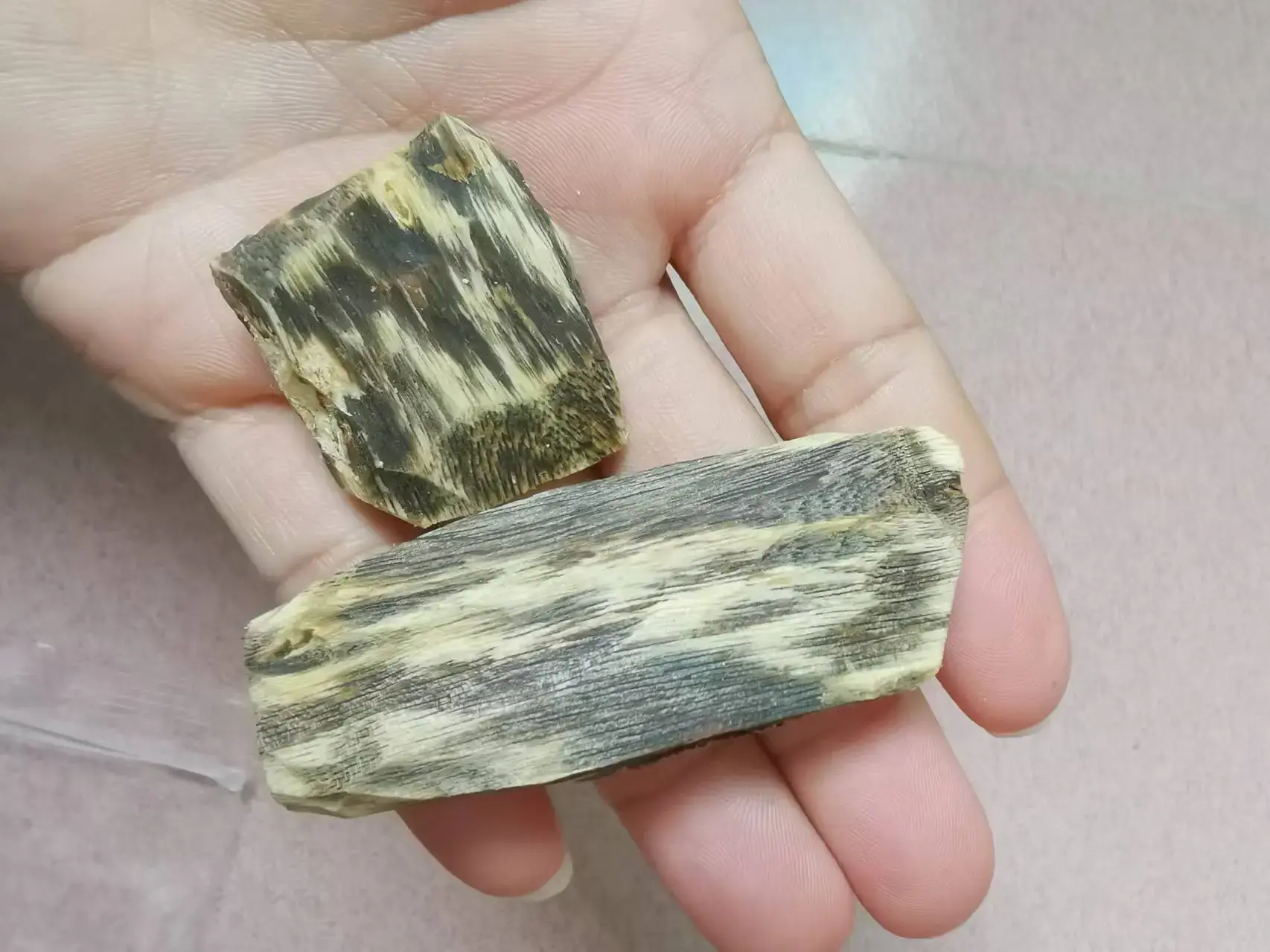 Agarwood