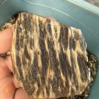 Madera De Agar