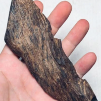 Madera De Agar