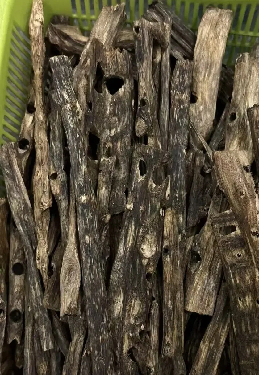 Madera de los dioses