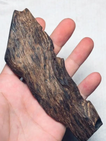 Madera De Agar